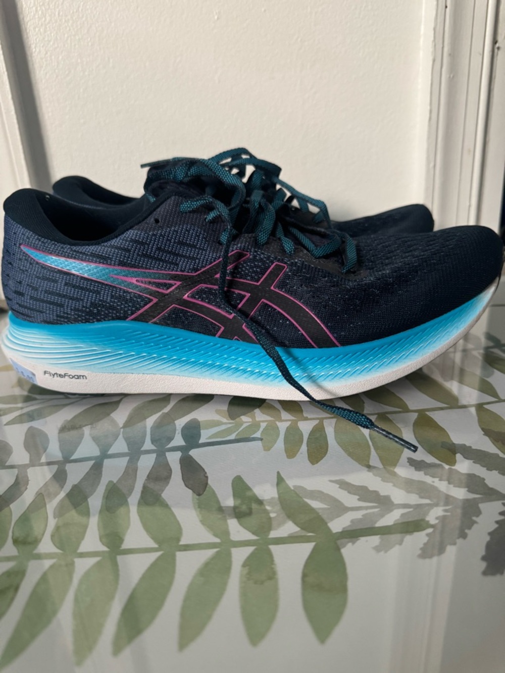 ASICS EvoRide 2 Women's Navy with Teal and Pink Running Shoes NWOT